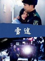 秘密女搜查官